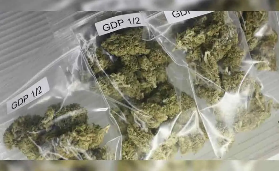 Uttar Pradesh trio held in Vizag for ganja smuggling from Araku