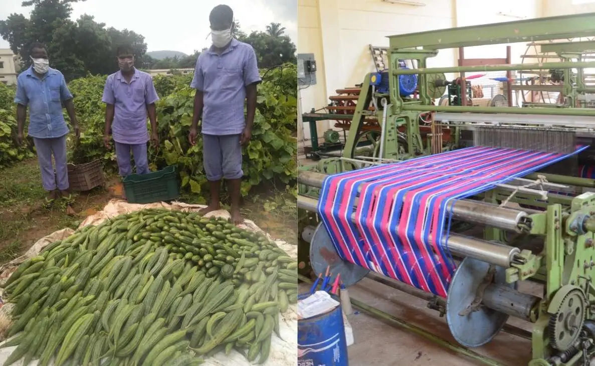 Visakhapatnam Central Prison: Self-sufficiency is the new mantra