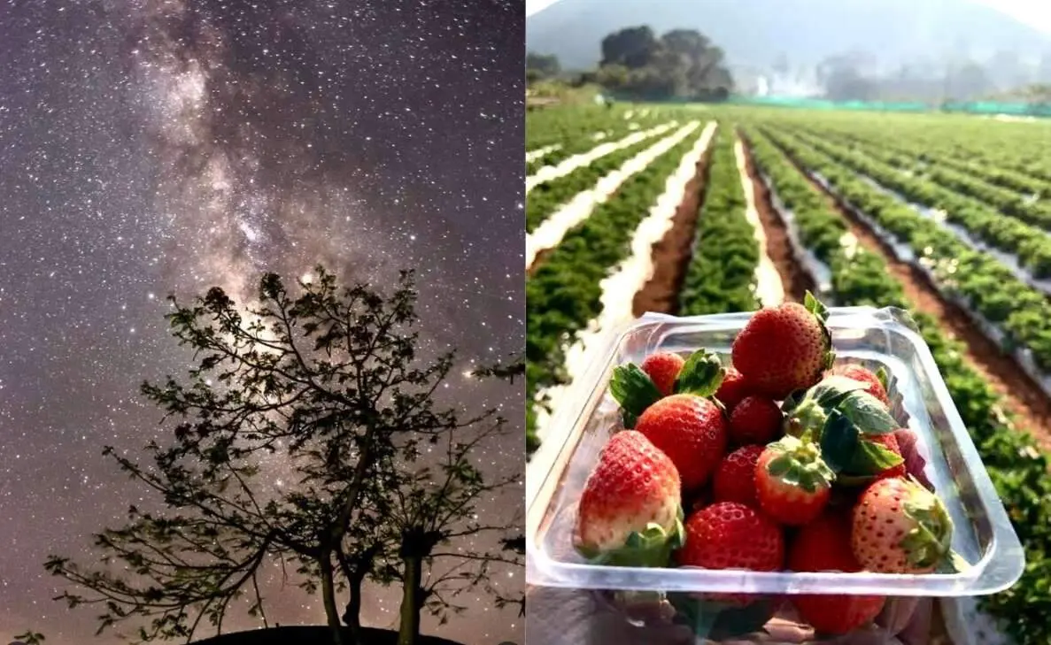 Did you know that Vizag offers these unique experiences?