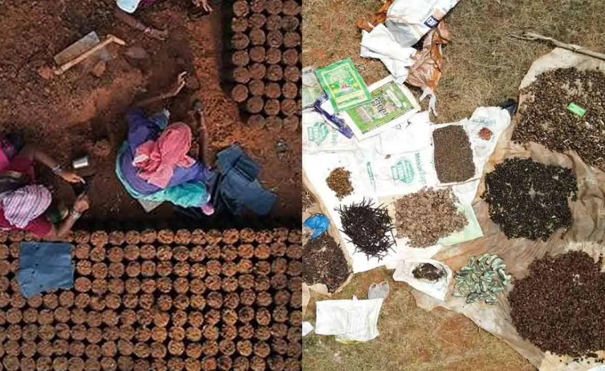 Vizag Forest Department to focus on conservation of Eastern Ghats