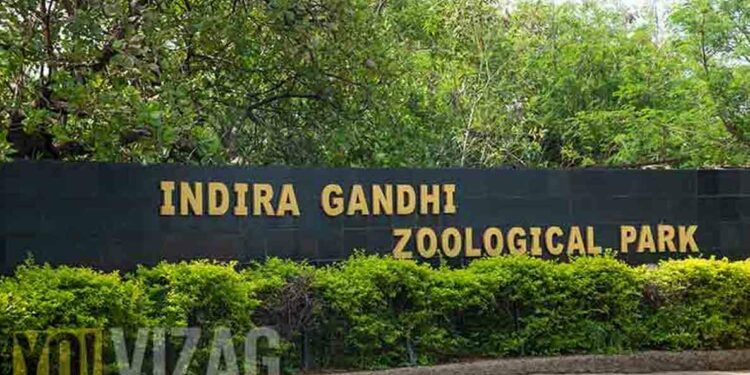 Visakhapatnam Zoo to host summer camp for kids between 5-18
