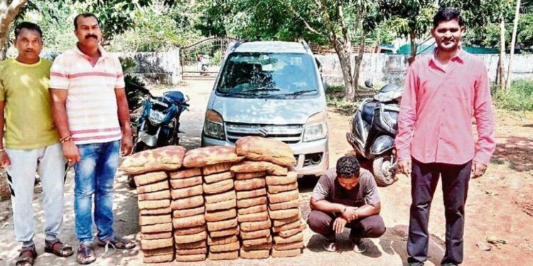 Visakhapatnam Police arrest man for smuggling 120 kgs of ganja