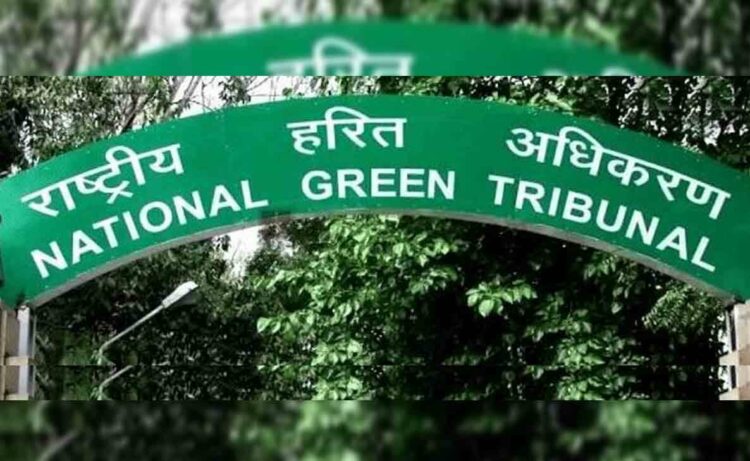 NGT orders stay on Rushikonda hills tourism project in Visakhapatnam