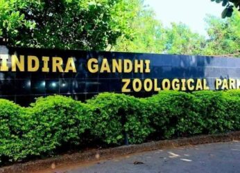 Vizag Zoo inaugurates quarantine facility for herbivores and reptile house