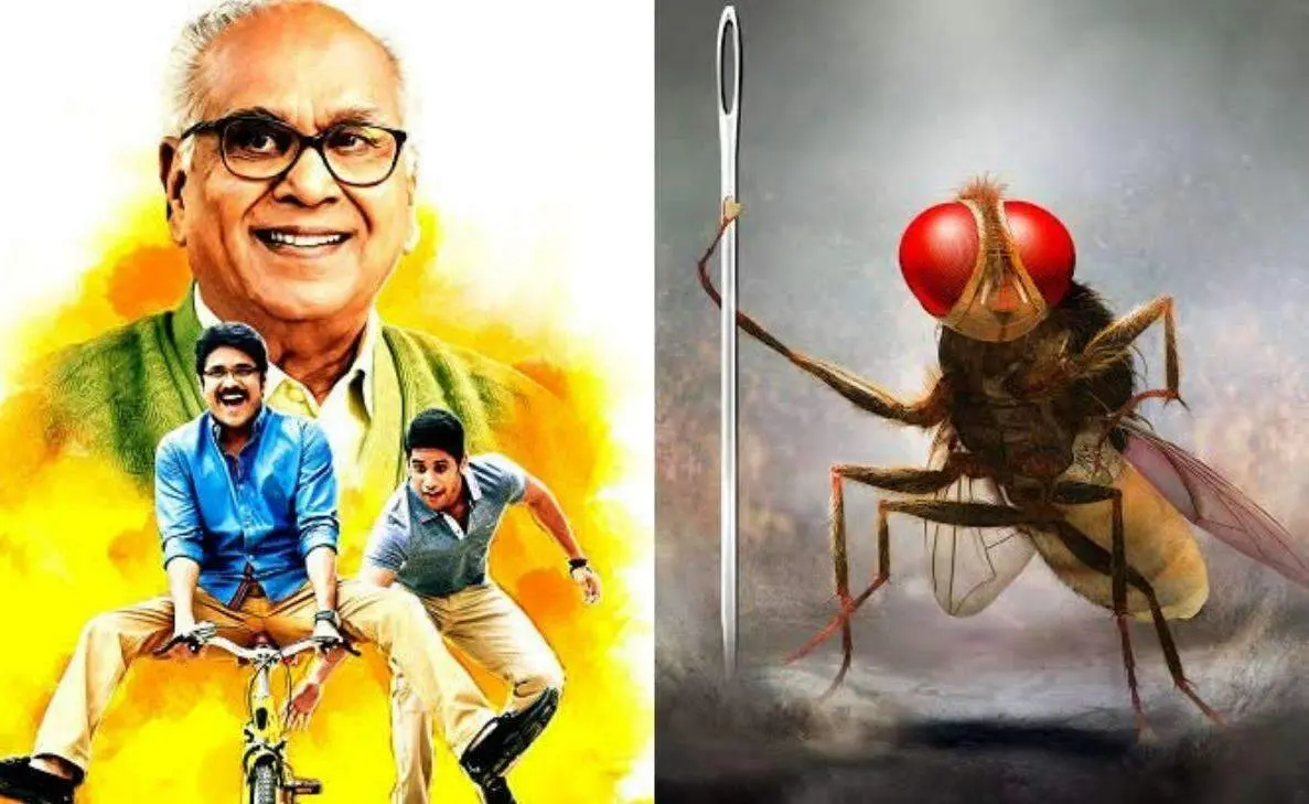 Telugu movies which excited the audience with the concept of reincarnation