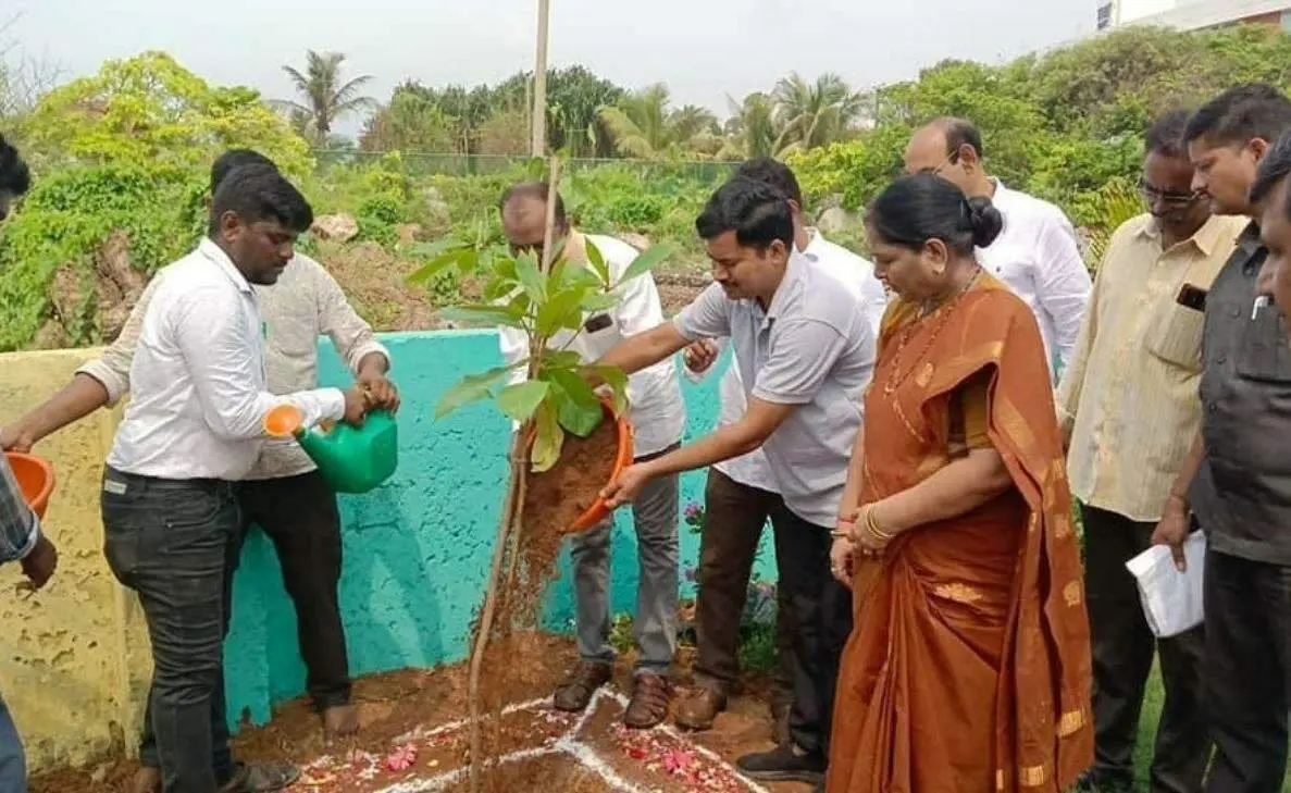 1 million tree plantation programme taken up by Visakhapatnam authorities
