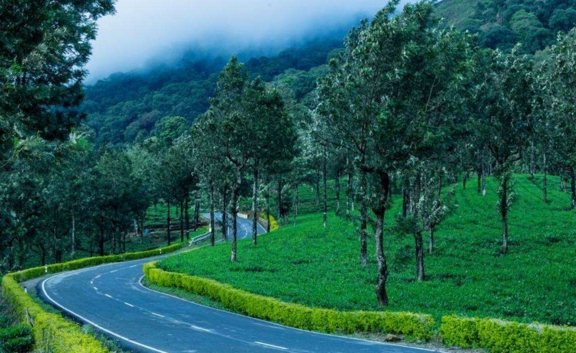 South Indian hill stations for a refreshing Monsoon trip from Vizag