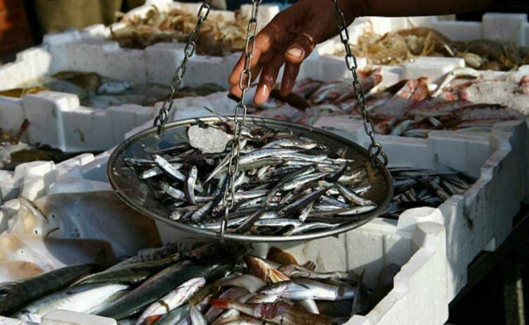 Surprise raids cost 24 traders in Visakhapatnam fish markets