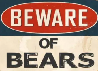 Eight injured and one killed in an attack by a bear in Srikakulam District