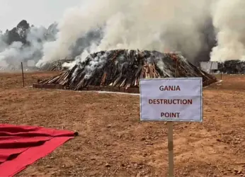 Visakhapatnam Police devise zero tolerance action plan to fight ganja trade