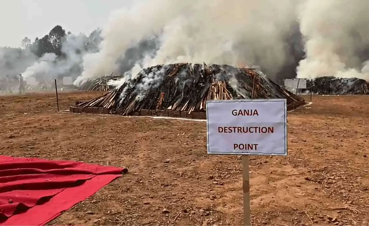 Visakhapatnam Police devise zero tolerance action plan to fight ganja trade