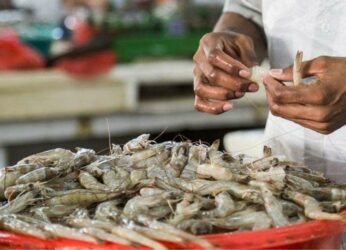 Vizag Port emerges as top contributor to India’s seafood export