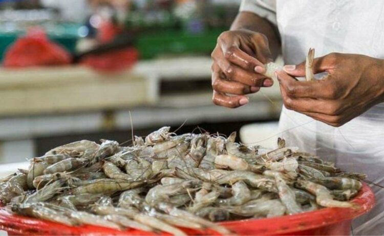 Vizag Port emerges as top contributor to India's seafood export