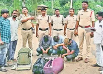 490 kgs of ganja seized in four separate cases around Visakhapatnam District