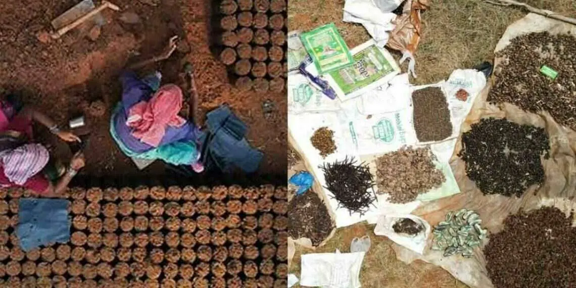 Visakhapatnam Forest Department to set up eco-tourism complex in agency areas