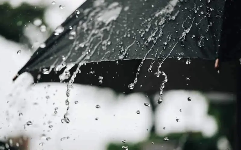 Heavy rainfall to hit coastal Andhra Pradesh over next 4 days