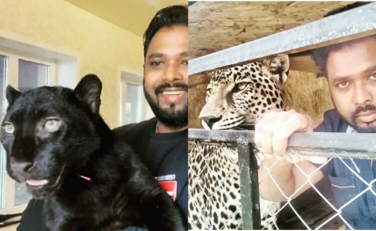 Andhra Pradesh doctor appeals Indian gov to rescue his pet jaguar and panther stuck in Ukraine