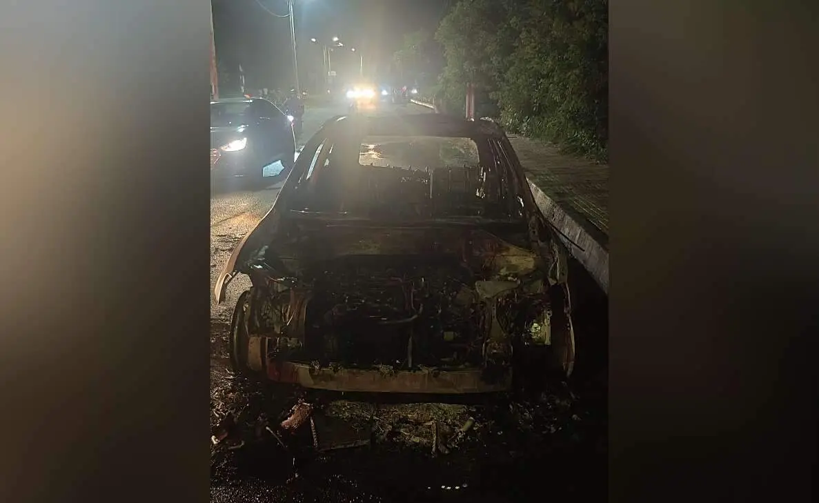 Moving Audi car catches fire near Vizag Zoo, no casualties