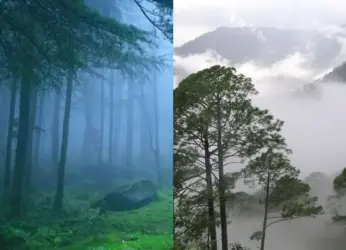 Coldest places in Andhra Pradesh; shocking winter temperatures you will love  