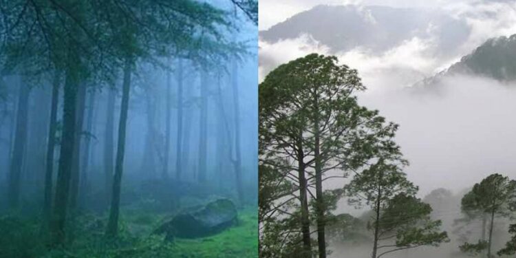 Coldest places in Andhra Pradesh; shocking winter temperatures you will love  