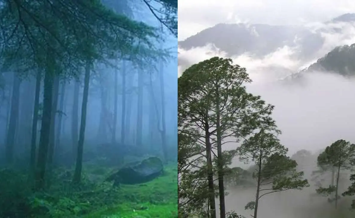 Coldest places in Andhra Pradesh; shocking winter temperatures you will love  