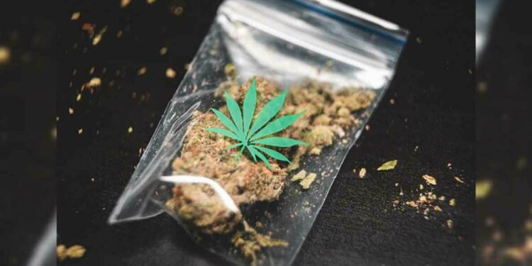 Vizag City Task Force cracks whip on ganja sale, three arrested in two separate cases