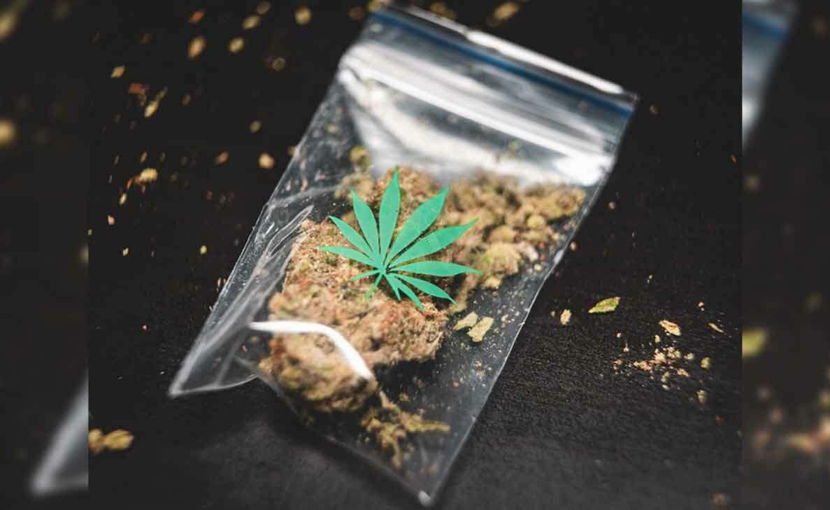 Vizag City Task Force cracks whip on ganja sale, three arrested in two separate cases