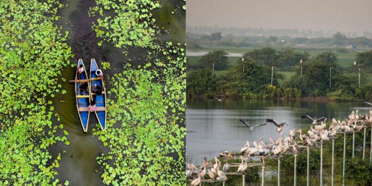 Most beautiful lakes in Andhra Pradesh that will take your breath away