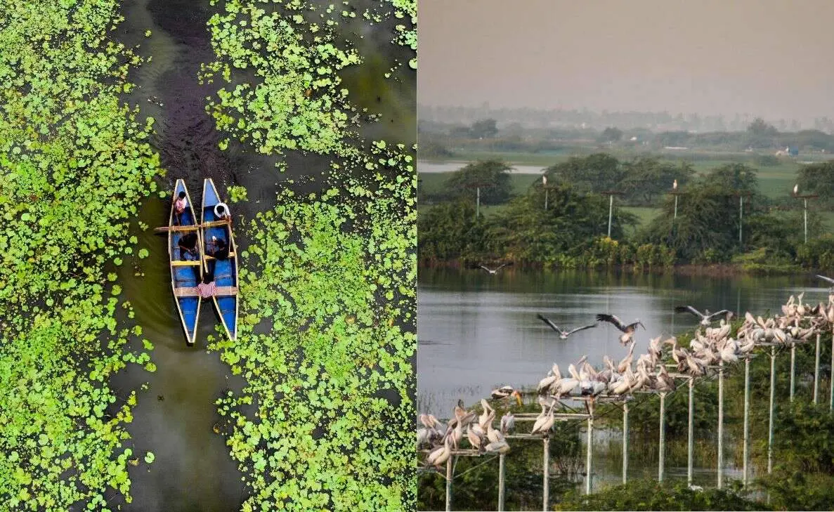 Most beautiful lakes in Andhra Pradesh that will take your breath away