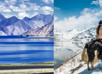 Must visit places in North India in February 2023 just before summer kicks in
