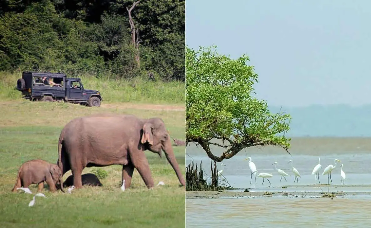 6 most interesting wildlife sanctuaries to visit in Andhra Pradesh