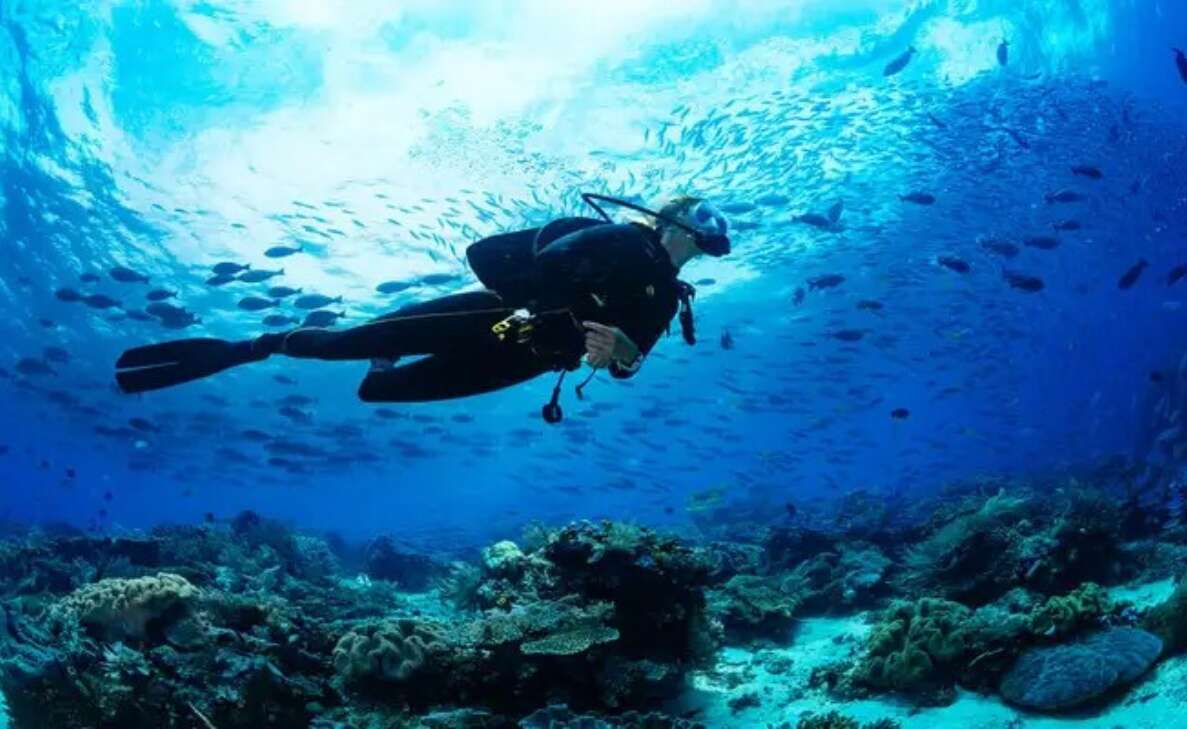 Best Scuba Diving spots in South India