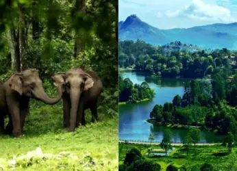 Make most of your upcoming trip with the best road trip routes in South India