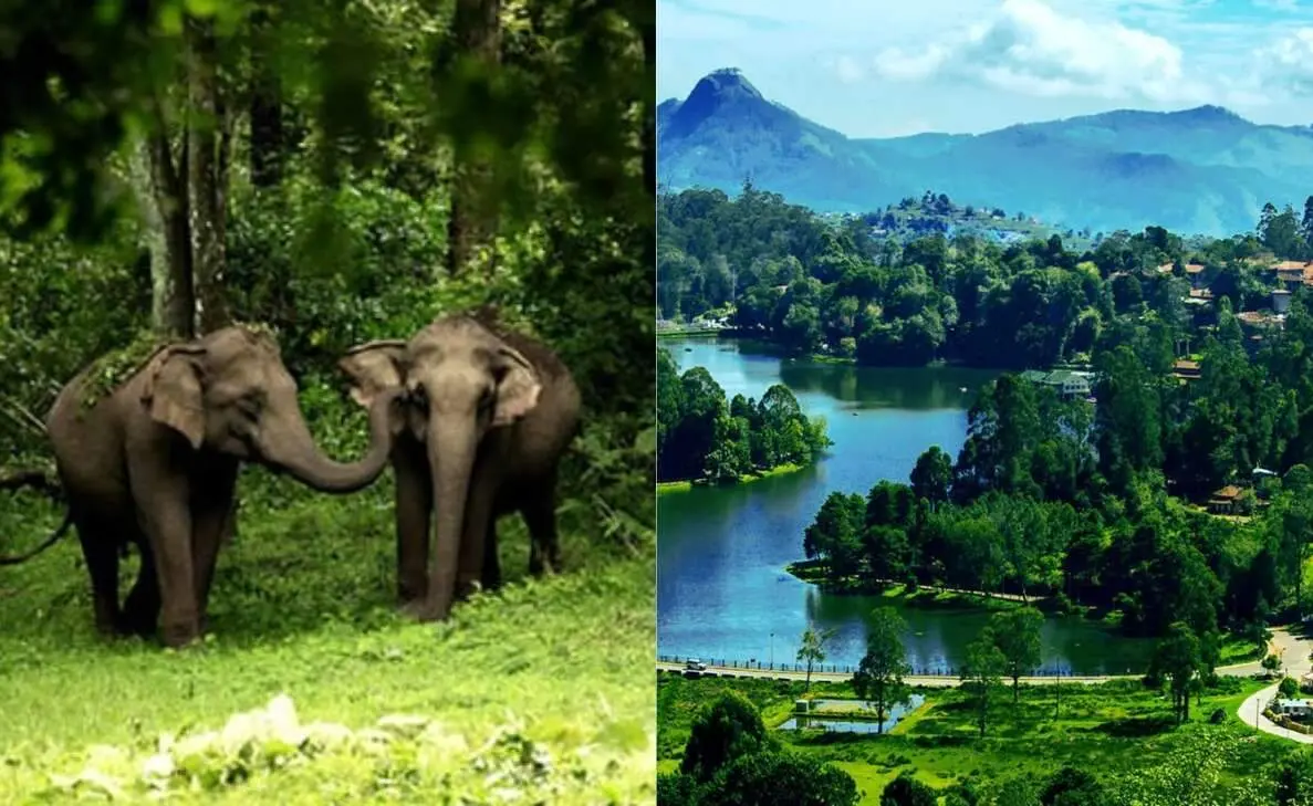 Make most of your upcoming trip with the best road trip routes in South India