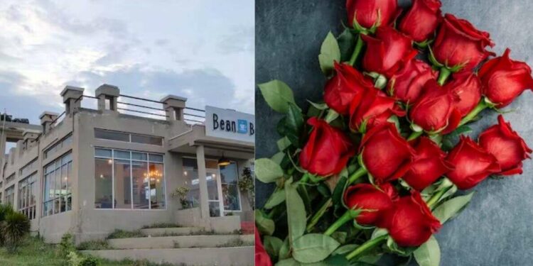 Celebrate Rose Day at these top 5 cafes in Vizag