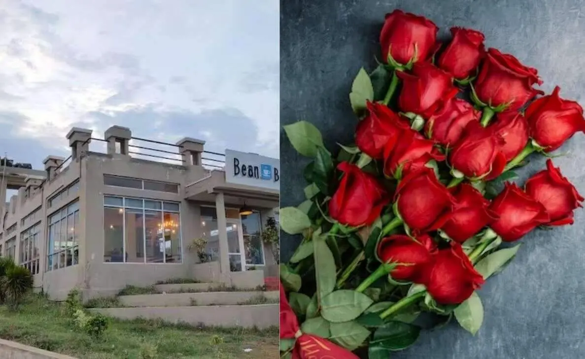 Celebrate Rose Day at these top 5 cafes in Vizag