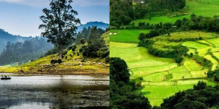 Rejuvenate yourself at these workation destinations in South India