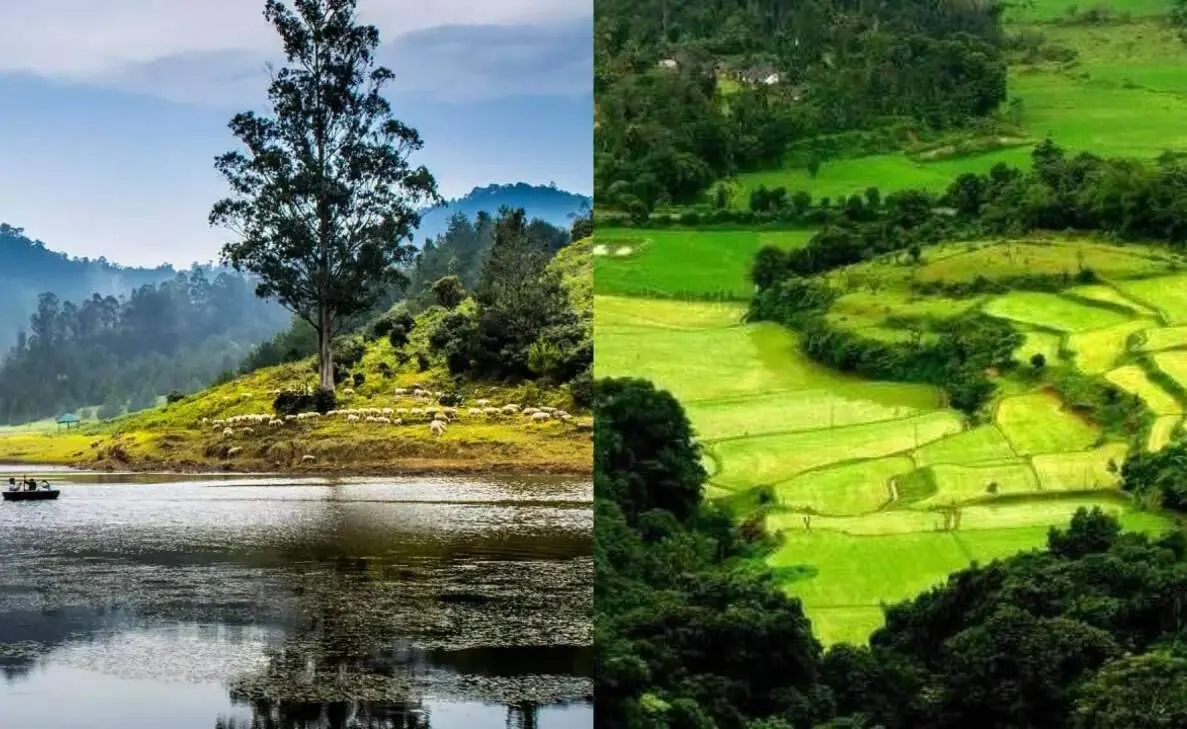 Rejuvenate yourself at these workation destinations in South India