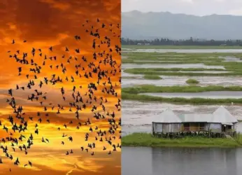 Rare phenomena in India that will leave you with a million questions
