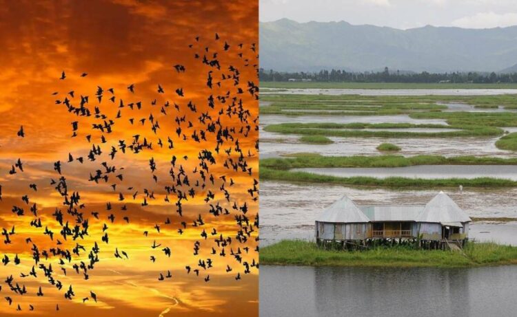Witness the prestige of nature with these rare phenomena found in India
