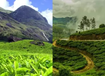 Savoring the country’s finest: A journey through the tea estates in India