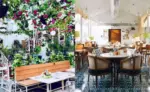 Instagram worthy cafes from Delhi we wish we had in Vizag