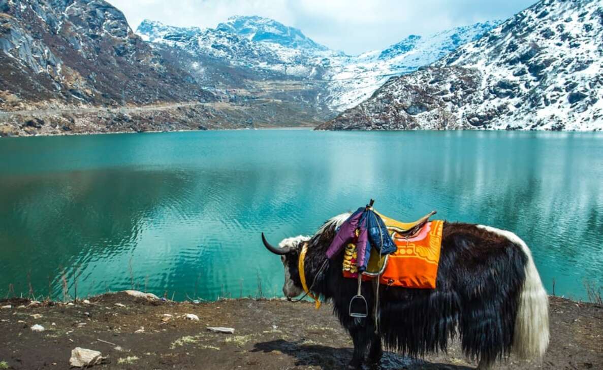 6 best places to visit in North East India in March 