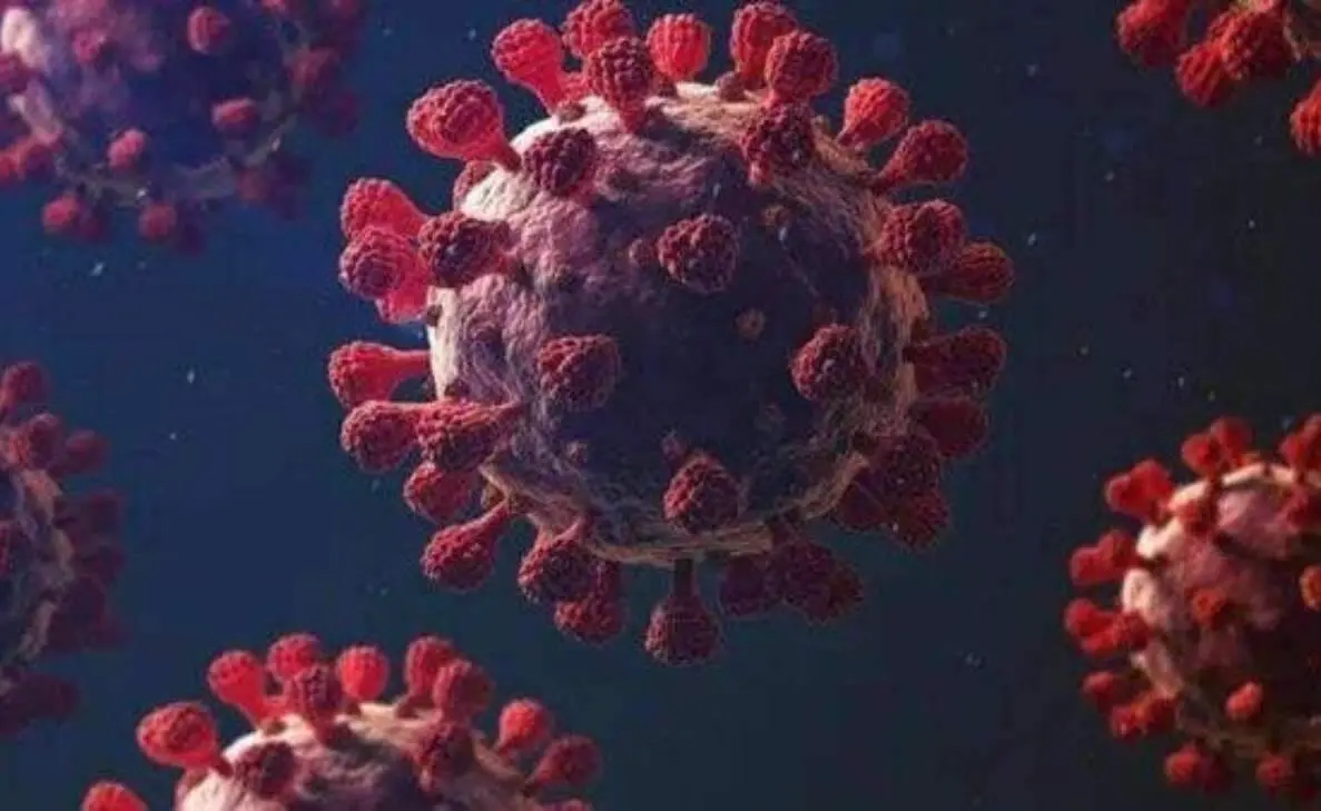 Spike in COVID-19 cases raises concerns in Visakhapatnam