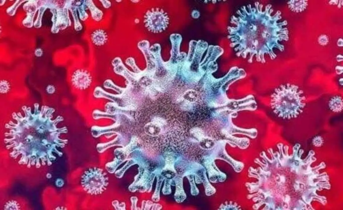 COVID-19 cases continue to surge in Visakhapatnam, four tested positive