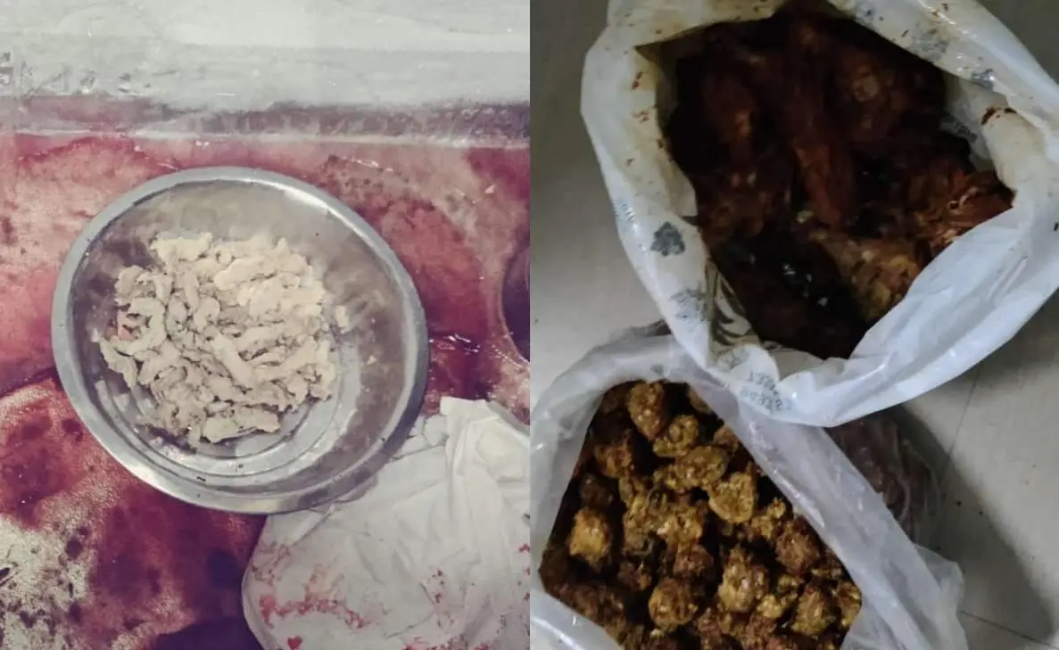 Stale food uncovered during surprise raids at three restaurants in Visakhapatnam