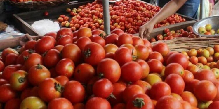 Visakhapatnam: Tomato made available at subsidy prices at Rythu Bazaars
