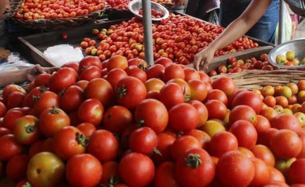 Visakhapatnam: Tomato made available at subsidy prices at Rythu Bazaars