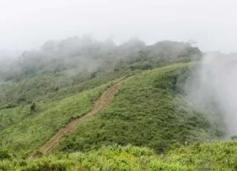 Monsoon Escapades: Unveiling the enchanting getaways in India