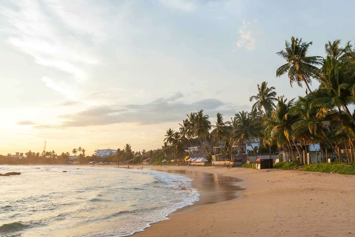 Solo Travel Destination : Sunset at Mirissa Beach in Sri Lanka